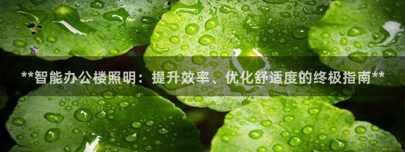 云顶集团官网登录入口下载安装