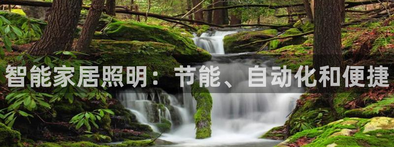 云顶线路快速检测中心