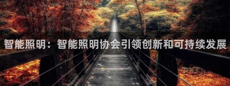云顶国际城手机网址是多少