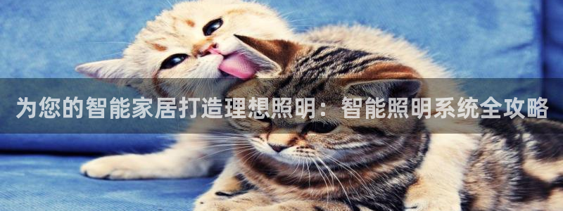 云顶集团官网电话