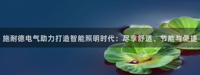 云顶国际服怎么更新