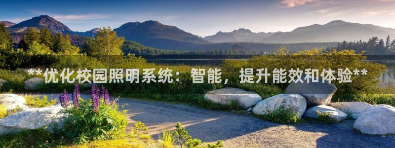 云顶集团有限公司简介资料