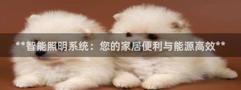 云顶国际在线购彩