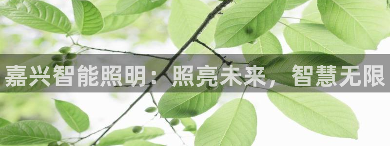 云顶国际真的能取出来吗?