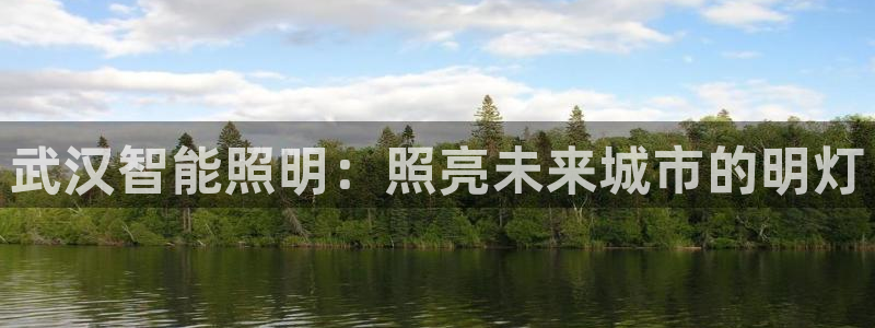 云顶集团公司 英文