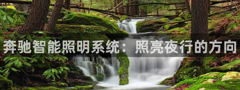 云顶国际体育