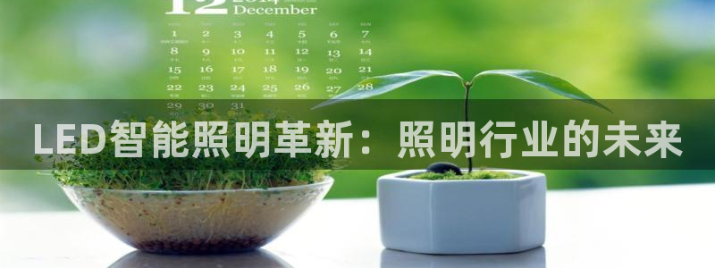 云顶国际物流官网网址