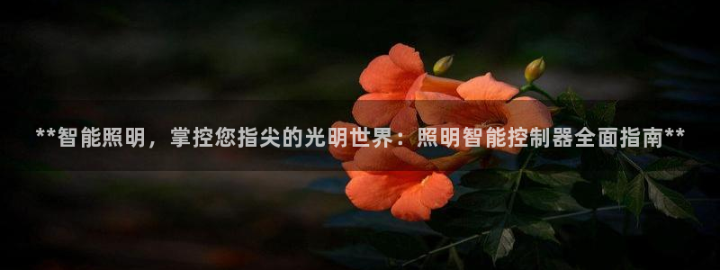 云顶国际集团官网