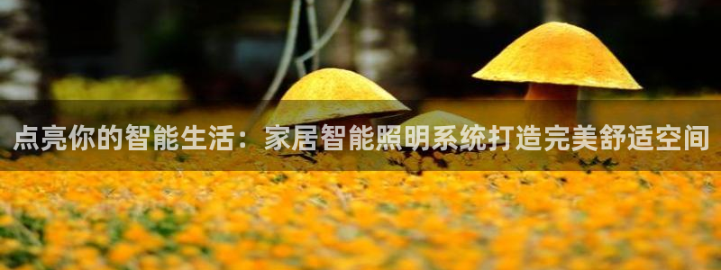 云顶国际集团官网首页登录