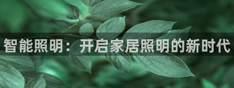 云顶集团游戏app8293