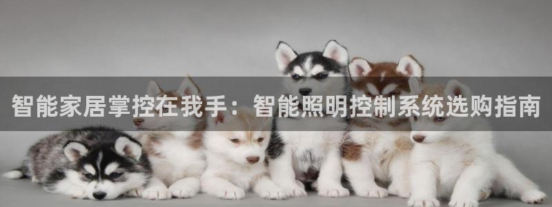 云顶国际是黑台吗还是彩台