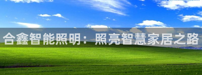云顶集团游戏app苹果版
