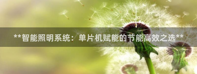 云顶集团 中国