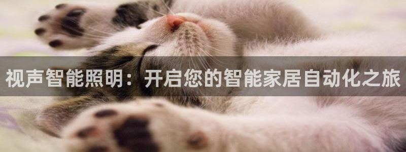 云顶国际邮轮公司