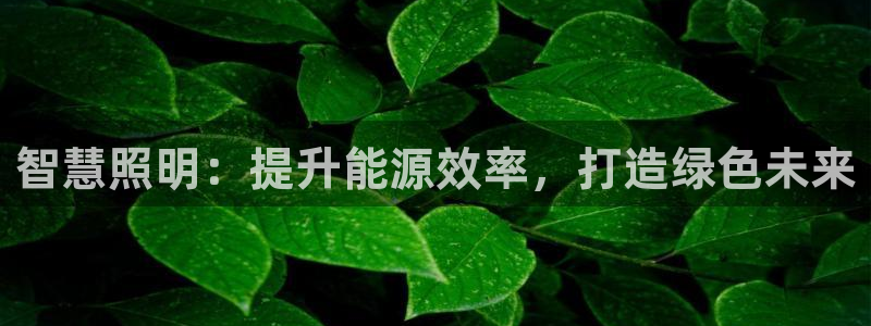 云顶国际大酒店位于