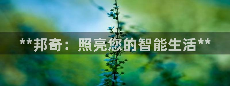 云顶国际高中学费多少钱一年