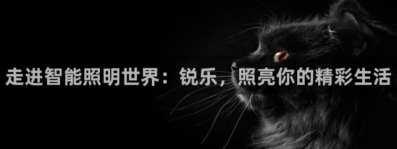 云顶国际二手房出售