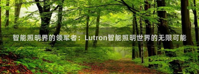 云顶集团注册送28线路