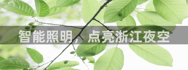 官网云顶电子游戏网站