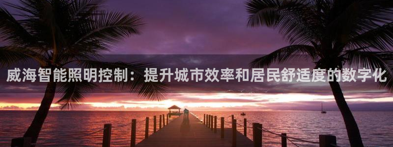 云顶国际是做什么的公司