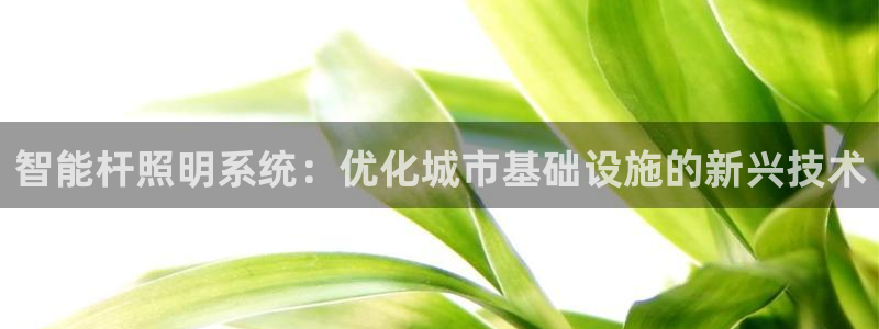 云顶集团网站安全吗