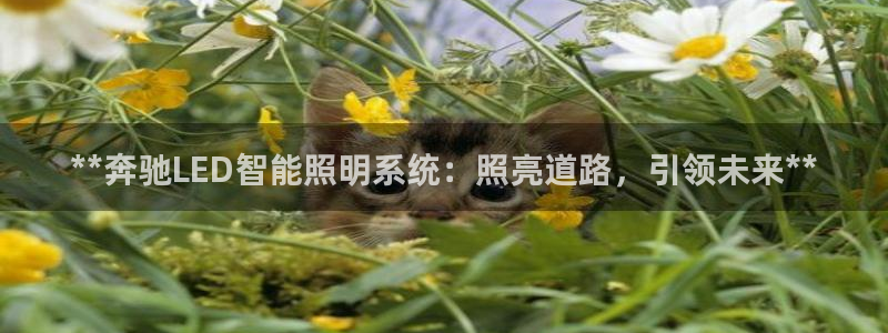 云顶国际酒店电话号码多少