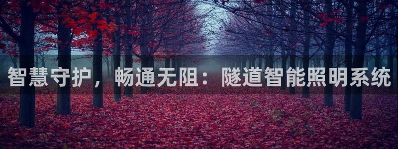 云顶国际公馆