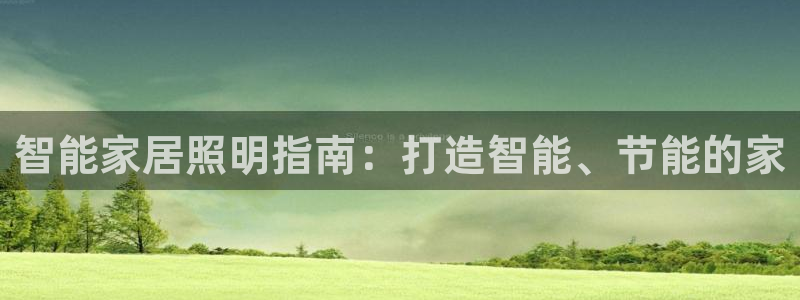 云顶电子游戏平台