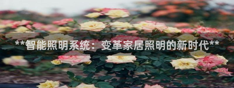 云顶国际大酒店停车场收费