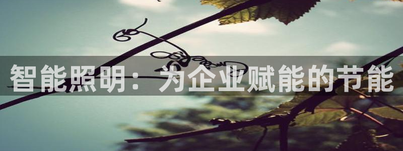 太原云顶国际酒店老板是谁