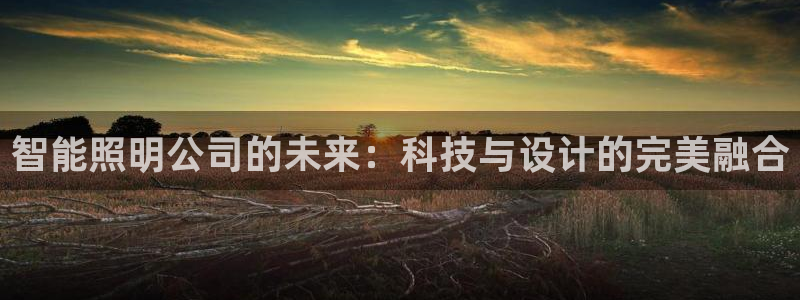 云顶国际酒店几星级最高：智能照明公司的未