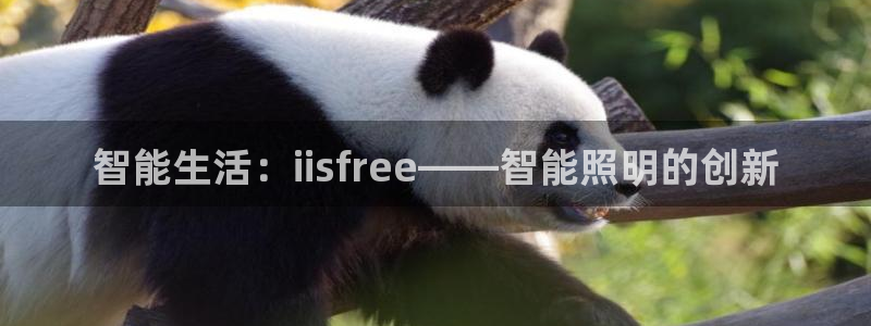 4188云顶集团下载：智能生活：iisf