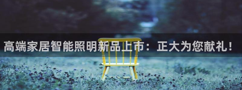 云顶国际pg网站官网