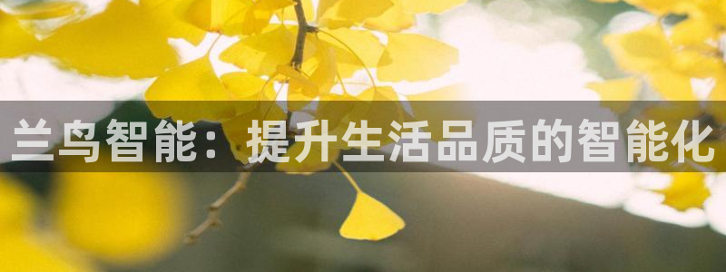云顶1026