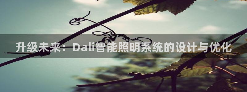 云顶1026