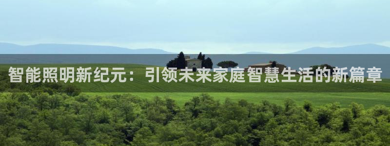 云顶国际游戏网址：智能照明新纪元：引领未