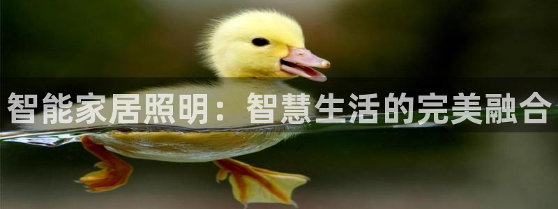 云顶国际高中学费多少