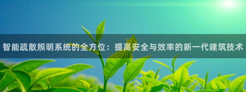 云顶国际服怎么下