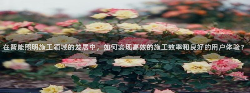 云顶集团简介概况：在智能照明施工领域的发