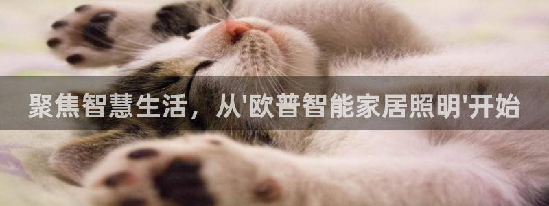 云顶国际账号怎么登录不了了