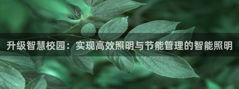 云顶国际黑网不出款怎么办