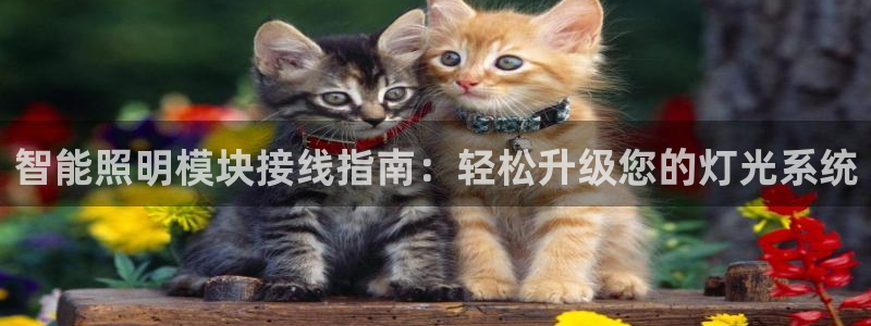 云顶国际前台电话号码
