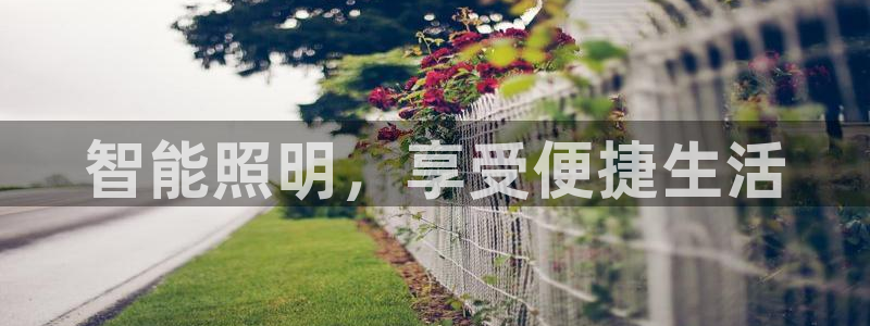 云顶国际app官网下载安装