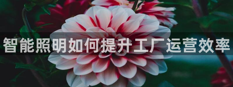 云顶国际会议中心在哪