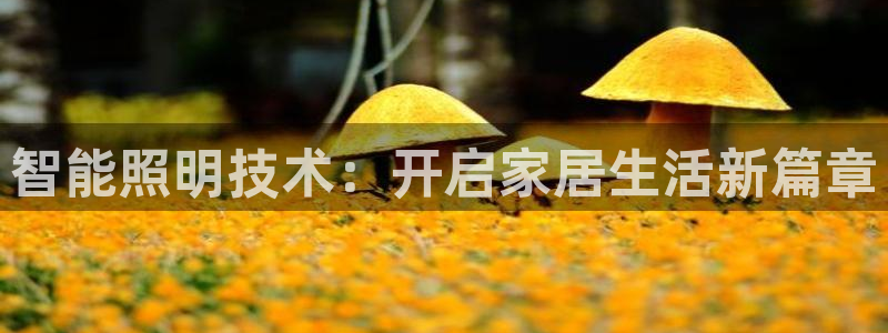 云顶集团游戏app是合法的吗