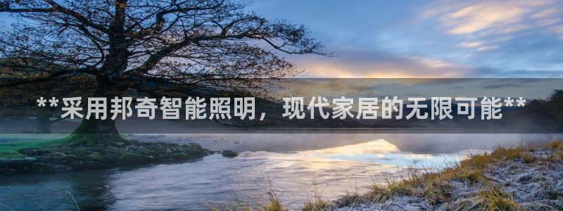 云顶国际城手机网址查询