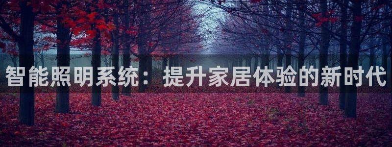 云顶国际公馆户型图