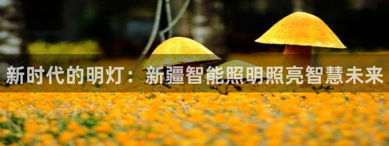 云顶国际ktv怎么样