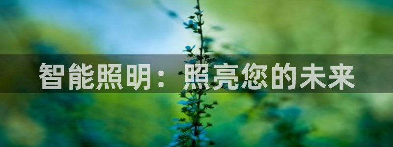 云顶国际前台电话是多少