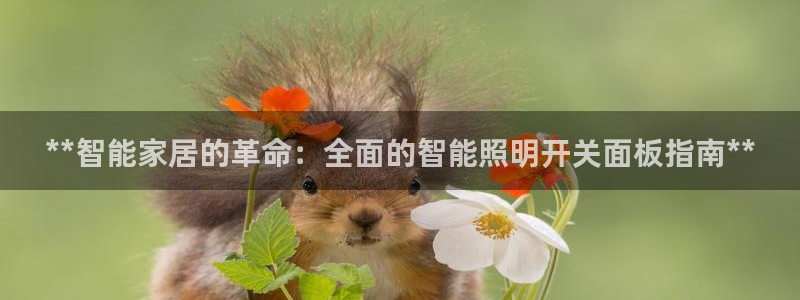 云顶国际怎么才能提现